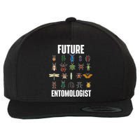 Future Entomologist Entomology Insect Lover Bug Collector Wool Snapback Cap