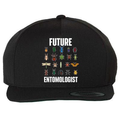 Future Entomologist Entomology Insect Lover Bug Collector Wool Snapback Cap