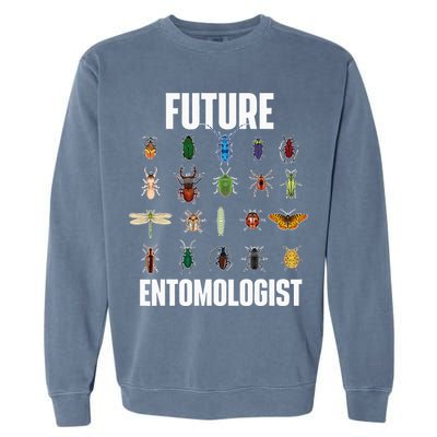 Future Entomologist Entomology Insect Lover Bug Collector Garment-Dyed Sweatshirt