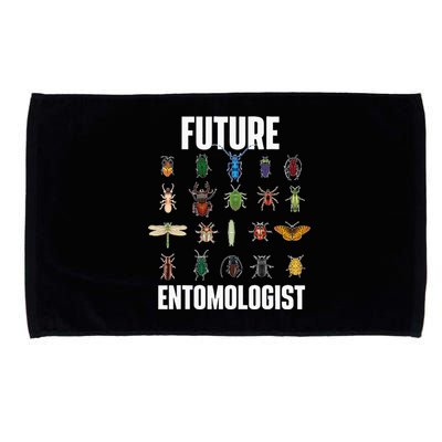 Future Entomologist Entomology Insect Lover Bug Collector Microfiber Hand Towel