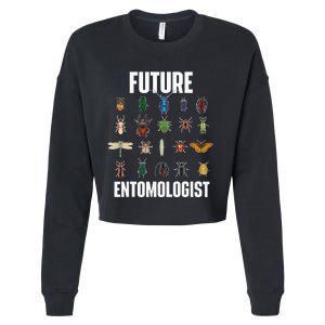 Future Entomologist Entomology Insect Lover Bug Collector Cropped Pullover Crew