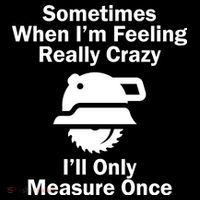 Feeling Really Crazy I'll Only Measure Once  Hooded Wearable Blanket