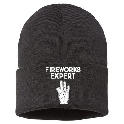 Fireworks Expert funny Fireworks Expert Sustainable Knit Beanie