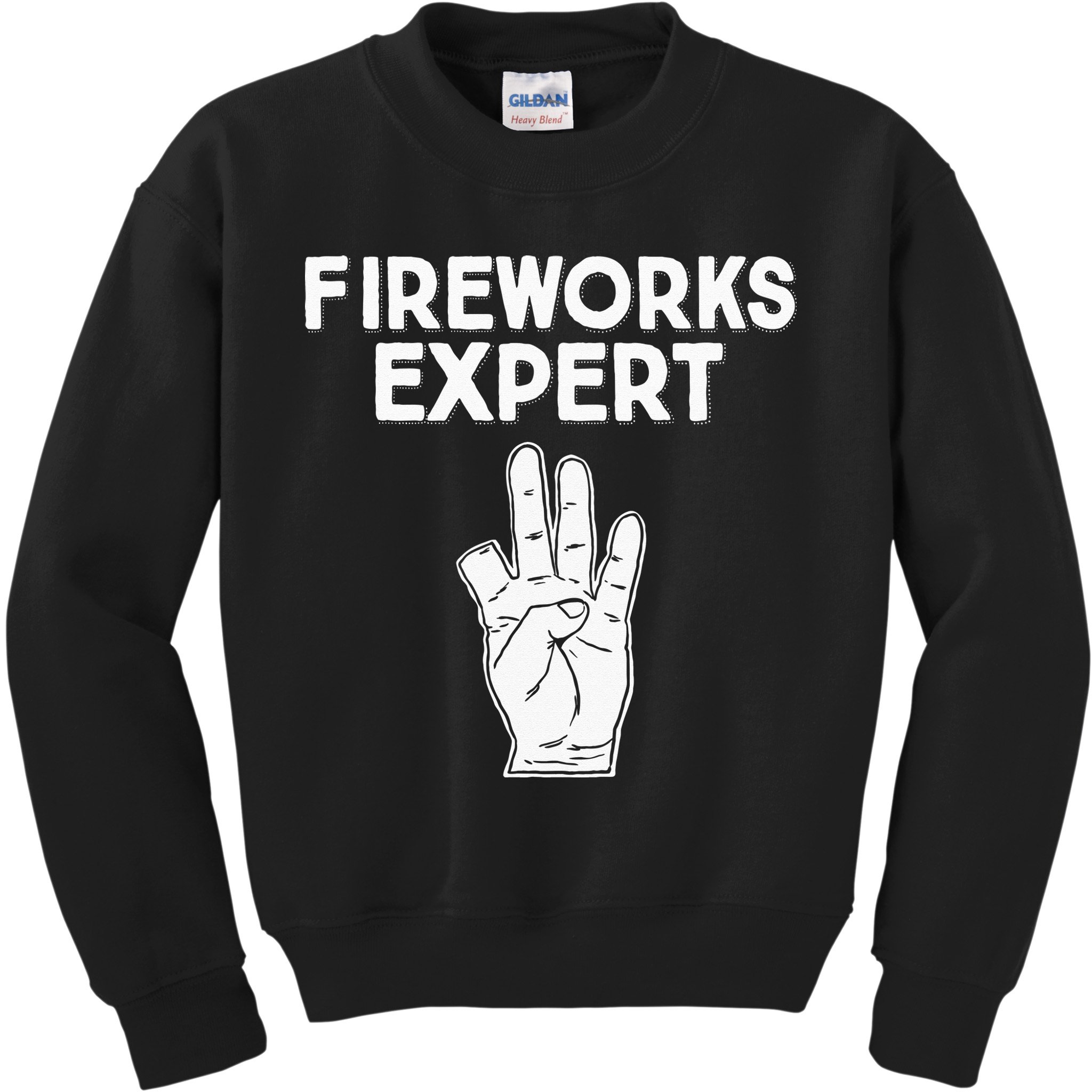 Fireworks Expert funny Fireworks Expert Kids Sweatshirt