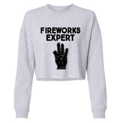 Fireworks Expert Cropped Pullover Crew