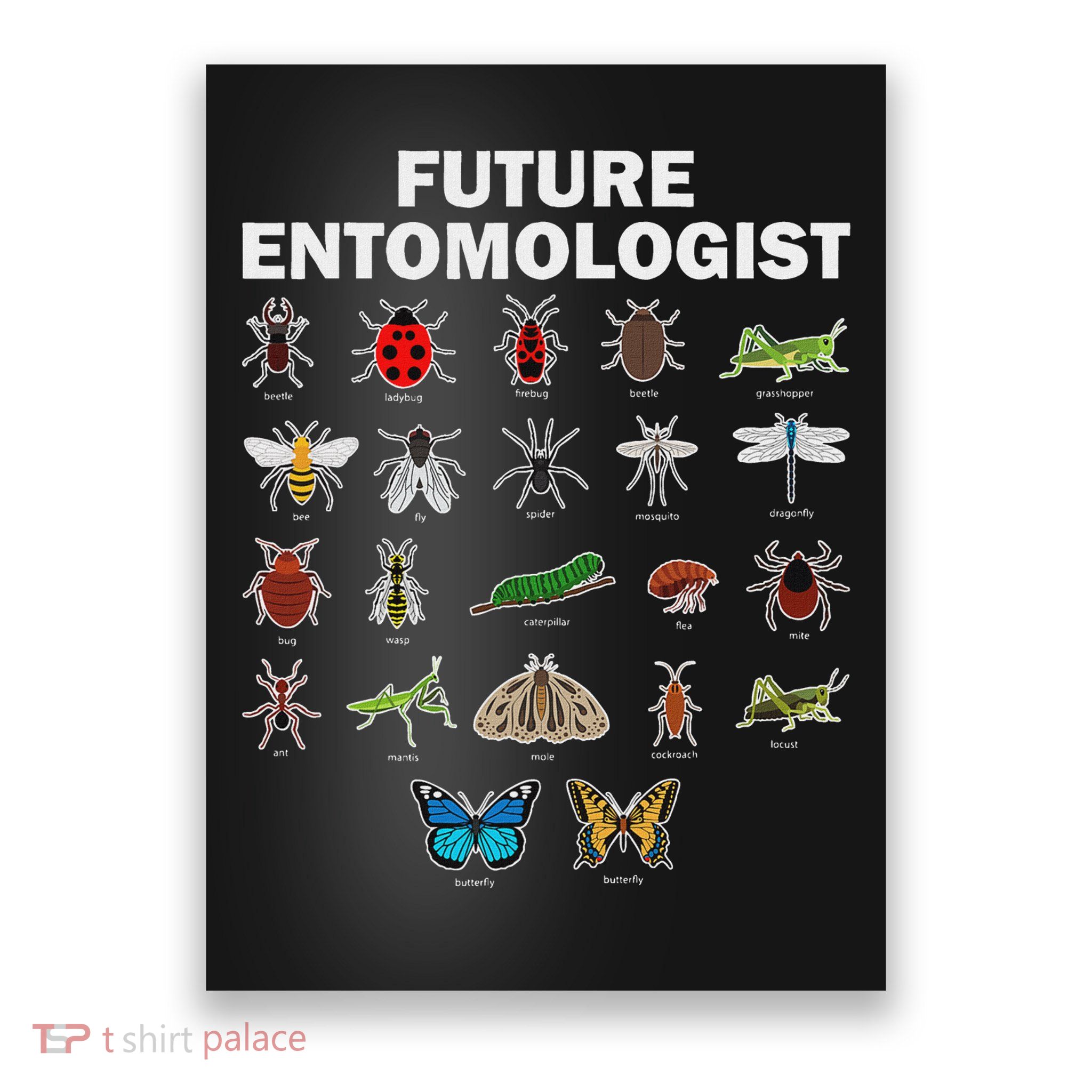 Funny Entomology Insect Bug Lover Poster
