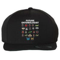 Funny Entomology Insect Bug Lover Wool Snapback Cap