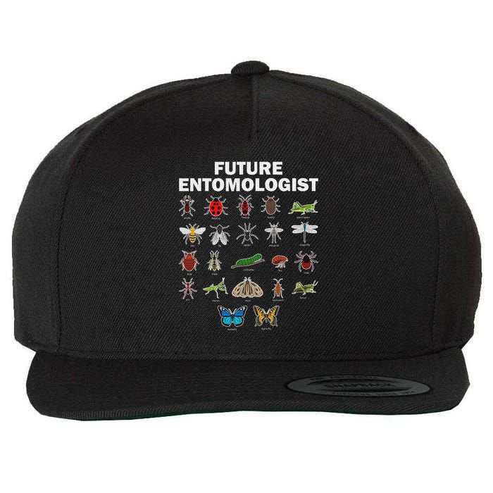 Funny Entomology Insect Bug Lover Wool Snapback Cap
