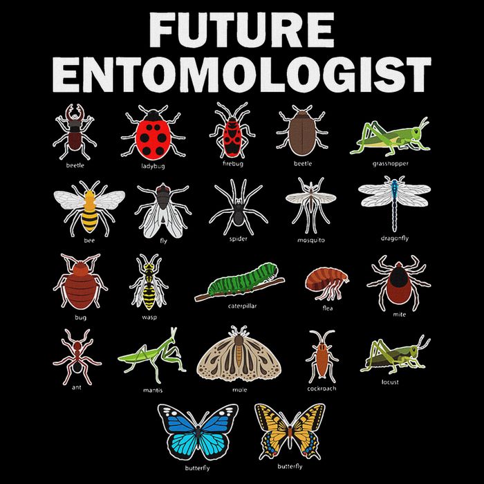 Funny Entomology Insect Bug Lover Wool Snapback Cap