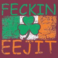 Feckin Eejit Ireland Irish Slang flag St Patricks Day 16oz Travel Tumbler