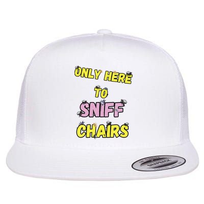 Funny Embarrassing Inappropriate Meme Flat Bill Trucker Hat