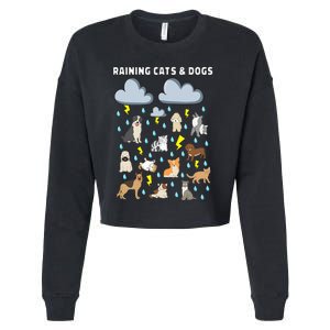 Funny English Idiom Raining Cats and Dogs Puppies Kitten Cropped Pullover Crew