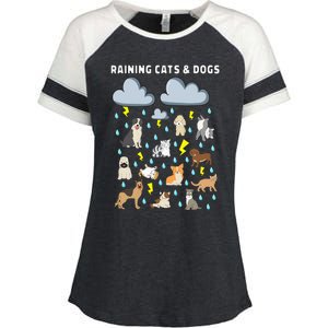 Funny English Idiom Raining Cats and Dogs Puppies Kitten Enza Ladies Jersey Colorblock Tee