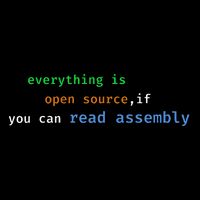 Funny Everything Is Open Source If You Can Read Assembly V-Neck T-Shirt
