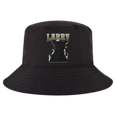 Funny Evil Larry Cat Dank Brainrot Meme Gift Cool Comfort Performance Bucket Hat