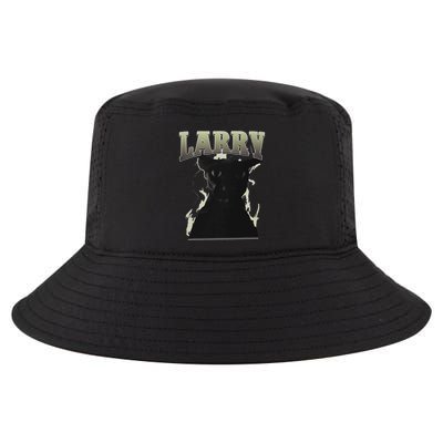 Funny Evil Larry Cat Dank Brainrot Meme Gift .Png Cool Comfort Performance Bucket Hat