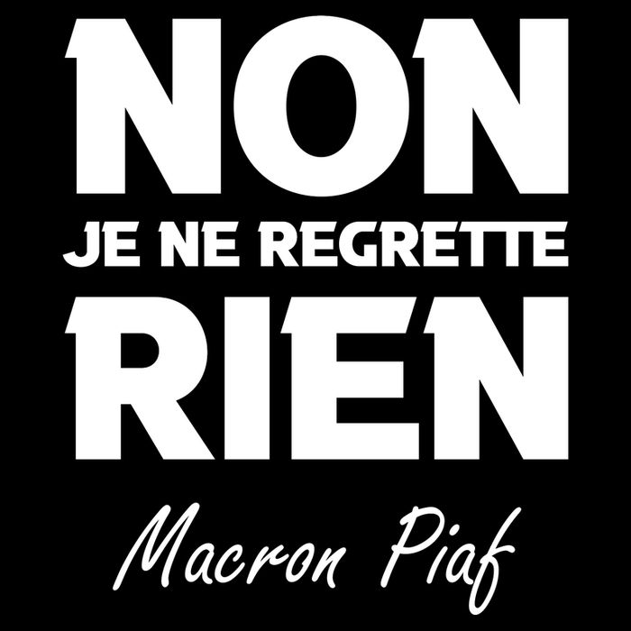 Funny Emmanuel Macron Cropped Pullover Crew