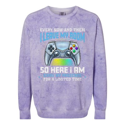 Funny Every Now And Then I Leave My Room Gaming Colorblast Crewneck Sweatshirt