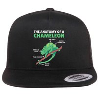 Funny Explanation Of A Chameleon Anatomy Of A Chameleon Flat Bill Trucker Hat
