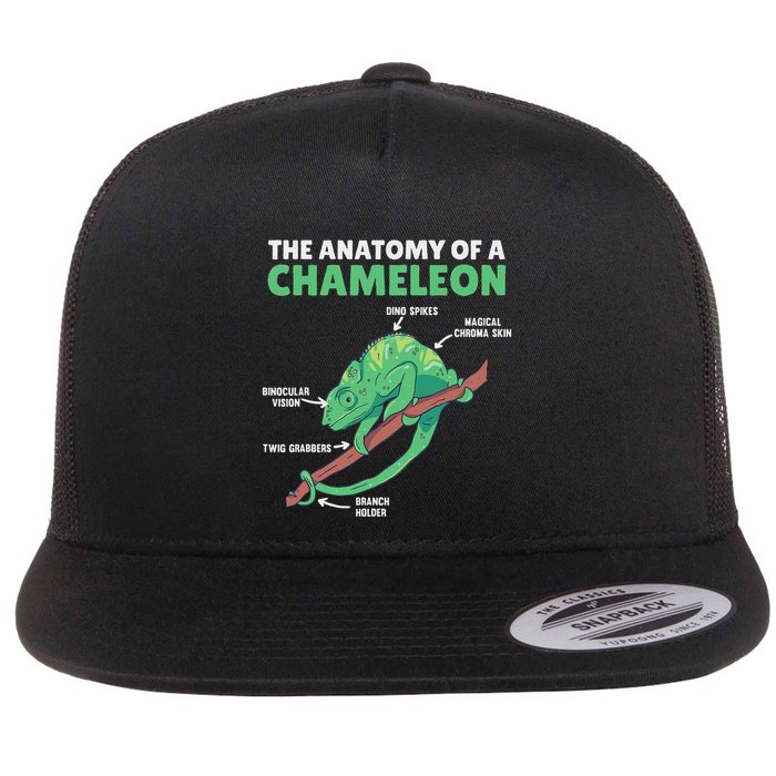 Funny Explanation Of A Chameleon Anatomy Of A Chameleon Flat Bill Trucker Hat