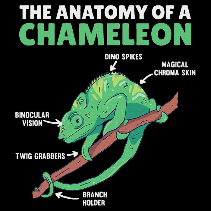 Funny Explanation Of A Chameleon Anatomy Of A Chameleon Flat Bill Trucker Hat
