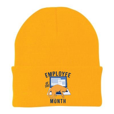 Funny Employee Of The Month Sleepy Cat Laptop Knit Cap Winter Beanie