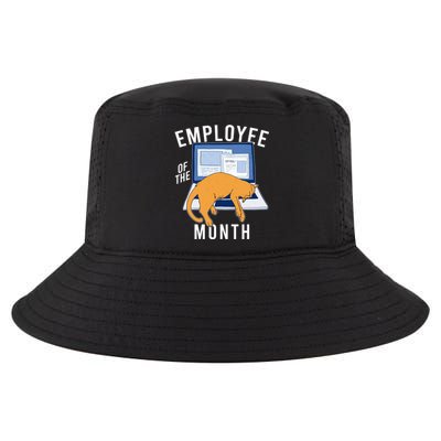 Funny Employee Of The Month Sleepy Cat Laptop Cool Comfort Performance Bucket Hat