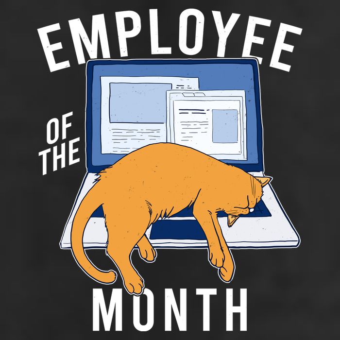 Funny Employee Of The Month Sleepy Cat Laptop Adult Drive Performance Visor