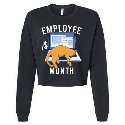 Funny Employee Of The Month Sleepy Cat Laptop Cropped Pullover Crew