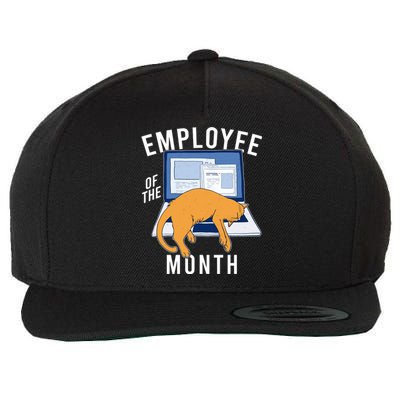 Funny Employee Of The Month Sleepy Cat Laptop Wool Snapback Cap