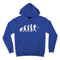 Funny Evolution Of Baseball Players Catcher Pitcher Fan Gift Hoodie