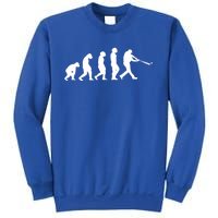 Funny Evolution Of Baseball Players Catcher Pitcher Fan Gift Sweatshirt