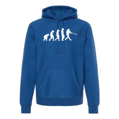 Funny Evolution Of Baseball Players Catcher Pitcher Fan Gift Premium Hoodie