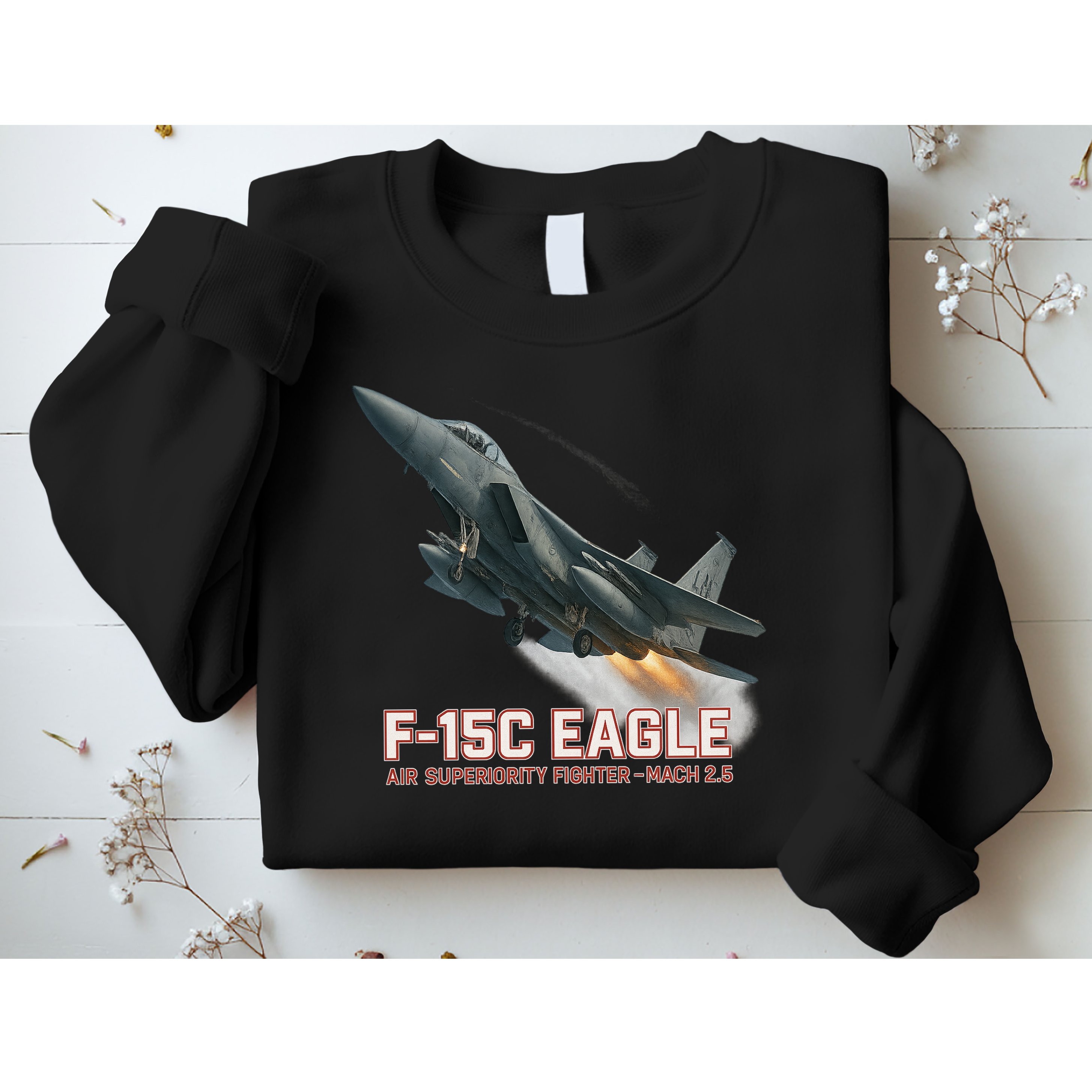 F-15C Eagle Poster – High-Speed Air Superiority Jet Design Sweatshirt