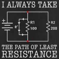Funny Engineer Path Of Least Resistance Trucker Hat