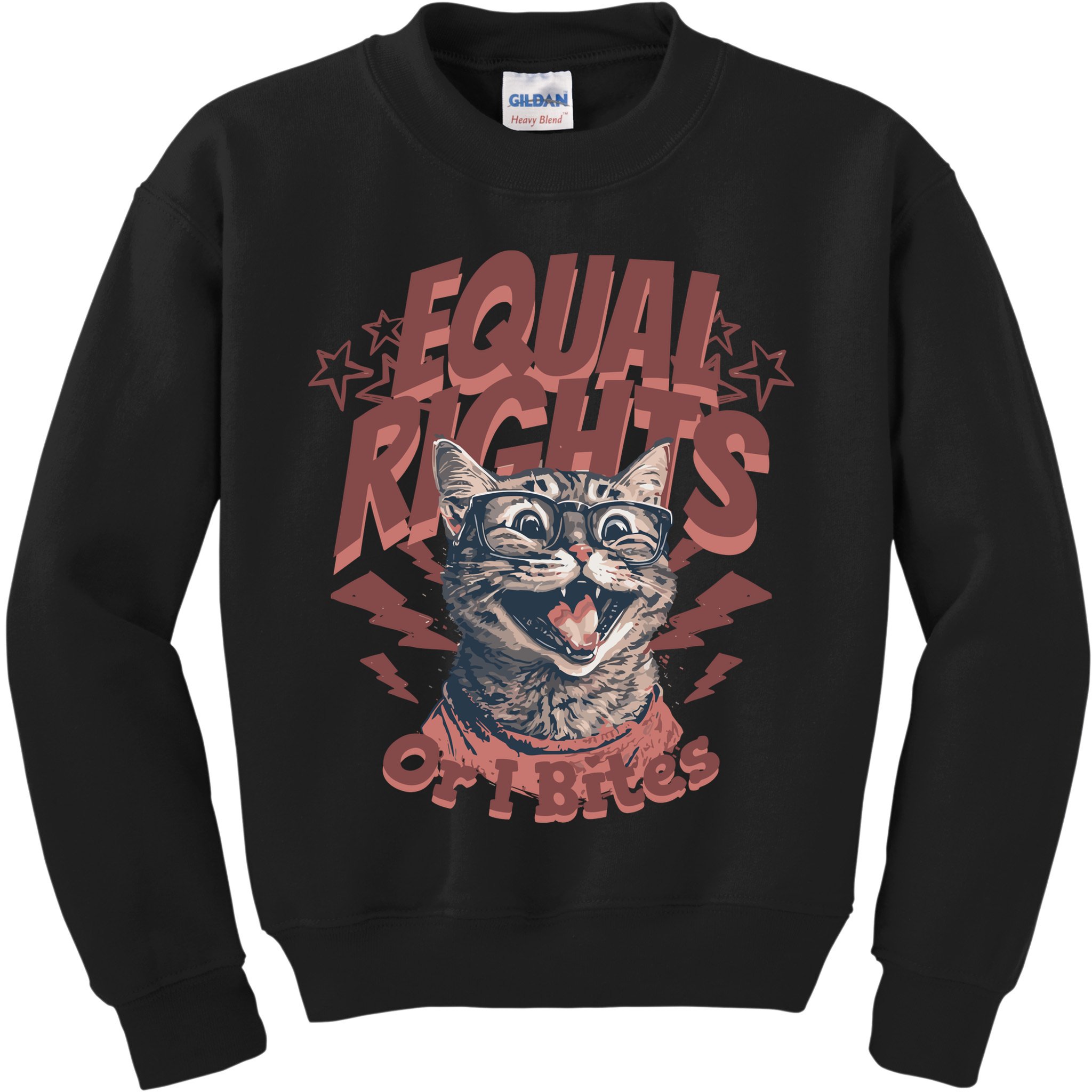 Feminist  Equal Rights  Liberal  Kids Sweatshirt