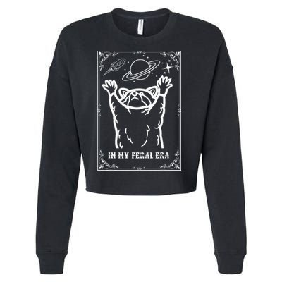 Feral Era Raccoon Cosmic Adventure Cropped Pullover Crew