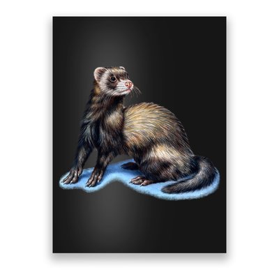 Ferret Wildlife Poster