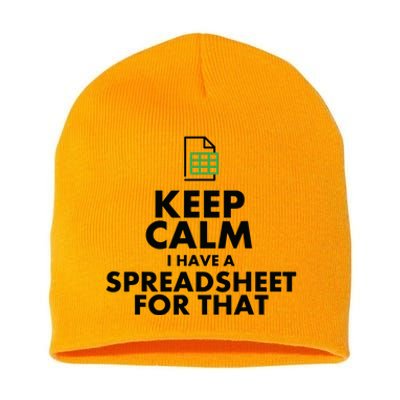 Funny Excel Spreadsheets Lover Gift Accountant Men Women Short Acrylic Beanie