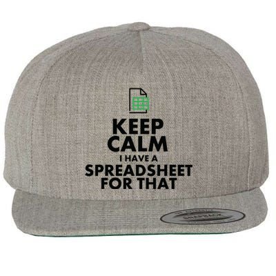 Funny Excel Spreadsheets Lover Gift Accountant Men Women Wool Snapback Cap