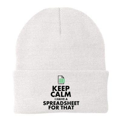 Funny Excel Spreadsheets Lover Gift Accountant Men Women Beanie