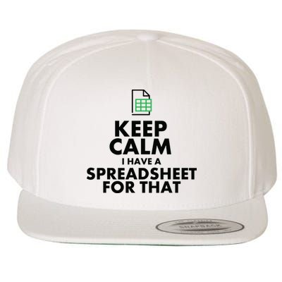 Funny Excel Spreadsheets Lover Gift Accountant Men Women Wool Snapback Cap