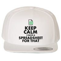 Funny Excel Spreadsheets Lover Gift Accountant Men Women Wool Snapback Cap