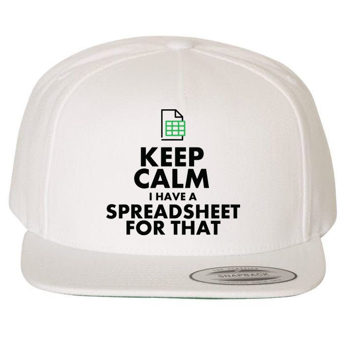 Funny Excel Spreadsheets Lover Gift Accountant Men Women Wool Snapback Cap