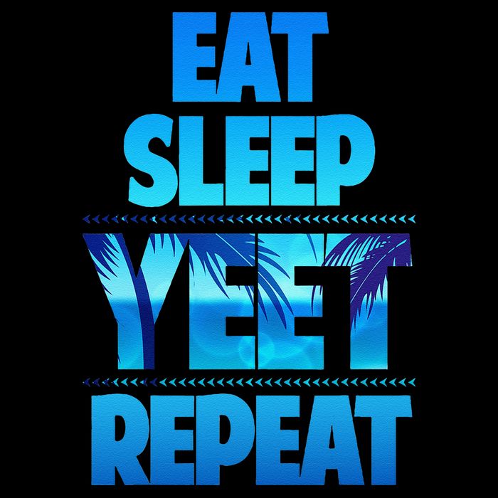 Funny Eat Sleep Yeet Repeat Vintage Gift Women's Crop Top Tee
