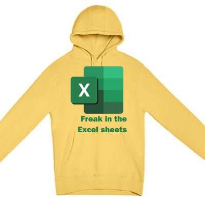 Funny Excel Sheets Freak In The Excel Sheets Premium Pullover Hoodie