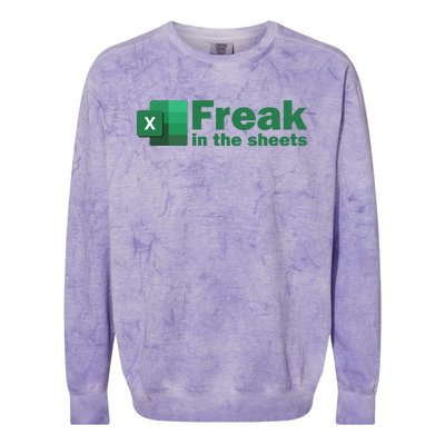 Funny Excel Sheets Freak In The Excel Sheets Colorblast Crewneck Sweatshirt