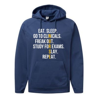 Funny Eat Sleep Go To Clinicals Nurse Life Nursing School Gift Performance Fleece Hoodie