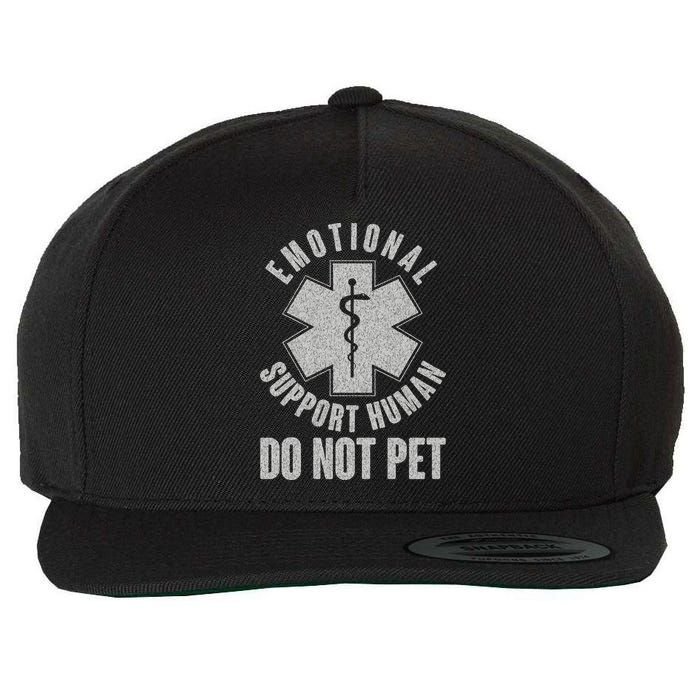 Funny Emotional Support Human Do Not Pet Wool Snapback Cap