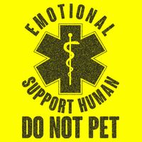 Funny Emotional Support Human Do Not Pet Kids T-Shirt